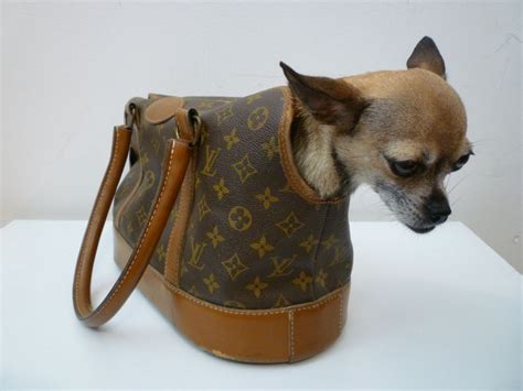 louis vuitton dogs